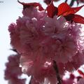 Анапа отель У Моря