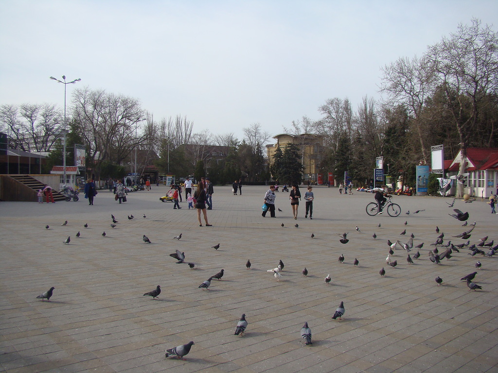 Анапа,г Анапа, город Анапа , отдых в городе Анапа 2013, Анапа отдых, Анапа центр города ,