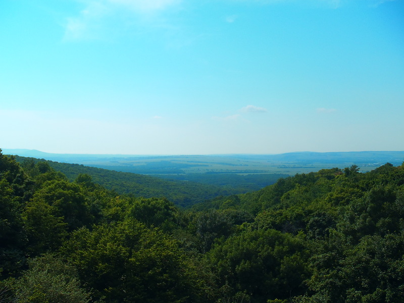 ДОРОГА В АНАПУ ИЗ,КАКАЯ САМАЯ ЛУЧШАЯ ДОРОГА В АНАПУ,